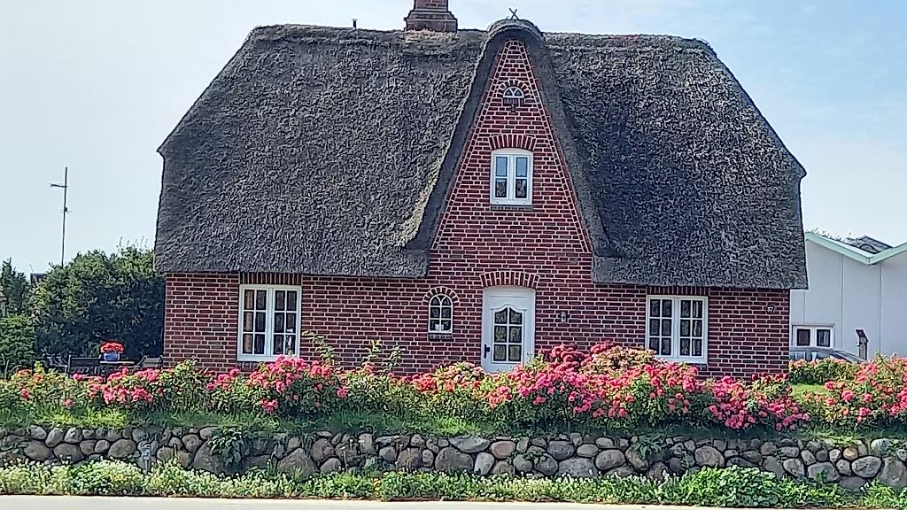 Sylt (160)